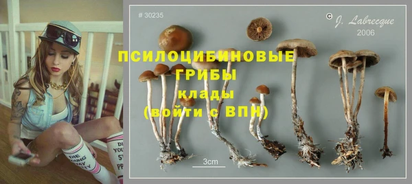 прущие крисы Киреевск