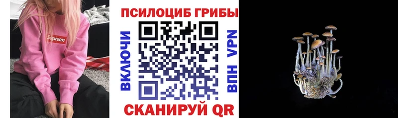 Галлюциногенные грибы GOLDEN TEACHER  Купить закладки  Лахденпохья 